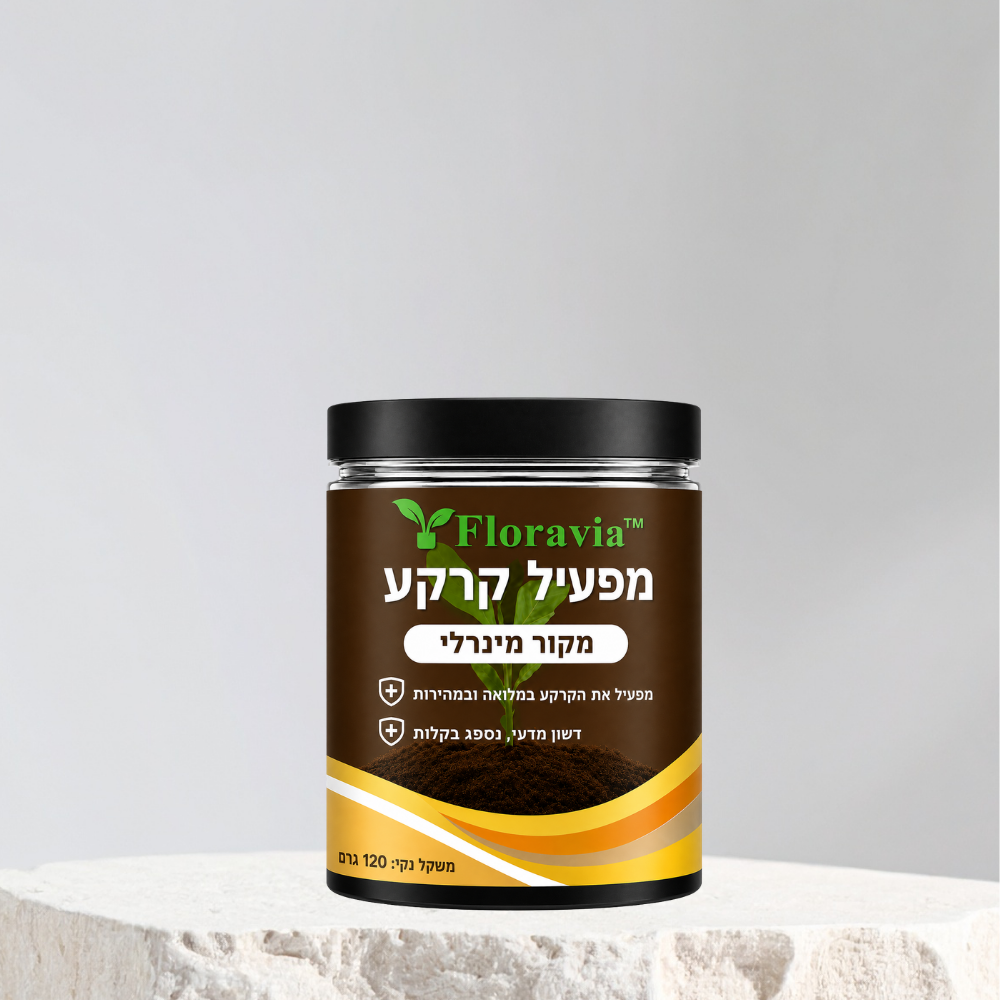 שיפלאקס